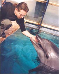 Дельфинарий в московском зоопарке. Курилко Иван и дельфиниха Катя.