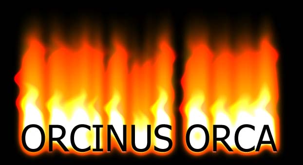 Orcinus Orca in Fire