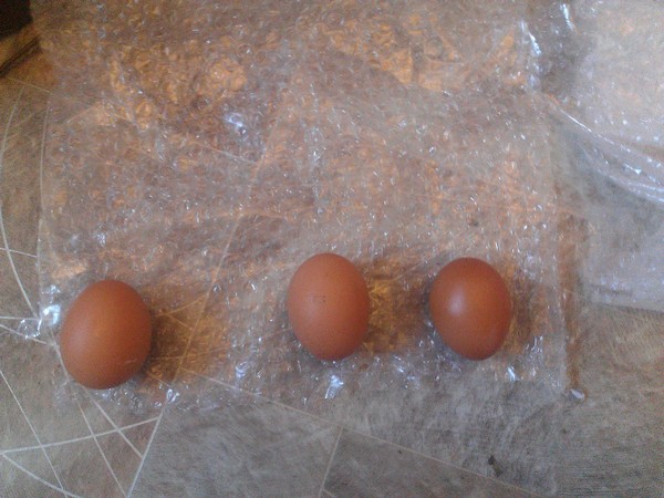 Яйца на пупырчатом полиэтилене.